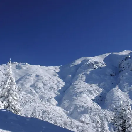 Apartment In Seefeld Near Rosshuette Ski Resort