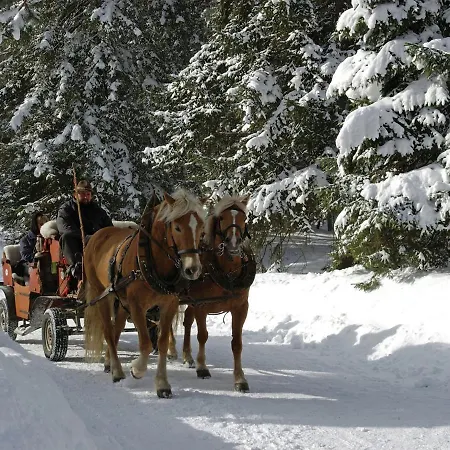 Apartment In Seefeld Near Rosshuette Ski Resort Apartament Seefeld w Tirolu