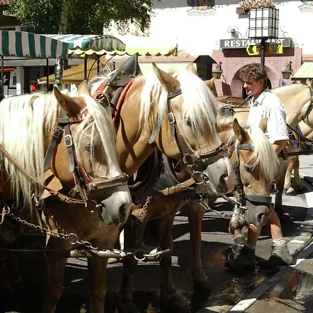 Apartment In Seefeld Near Rosshuette Ski Resort * Seefeld w Tirolu