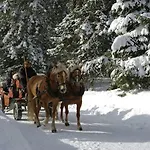 Apartment In Seefeld Near Rosshuette Ski Resort شقة سيفيلد ان تيرول